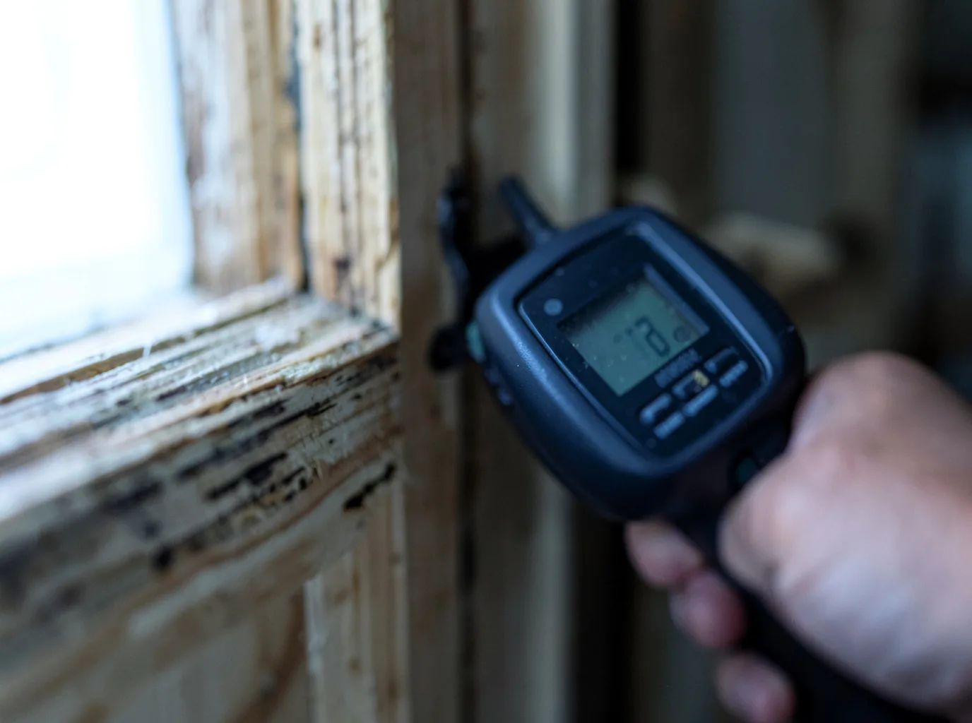Water Damage Restoration Redmond, WA FAQs